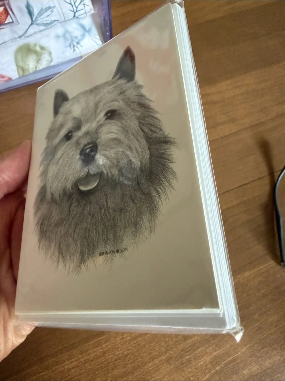 Norwich Terrier Dog Note Cards (8) Fine Art Drawing